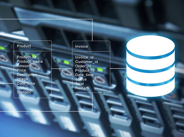 types-of-databases-and-their-uses-pre-written-database-projects